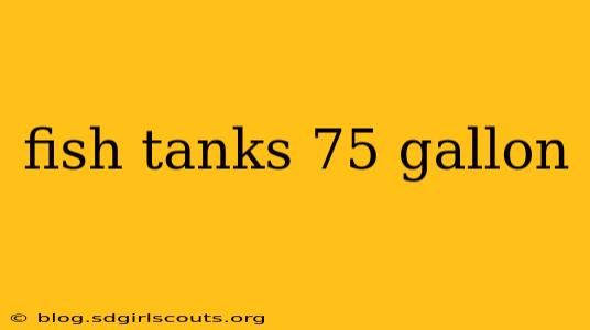 fish tanks 75 gallon