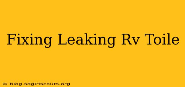 Fixing Leaking Rv Toile