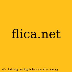 flica.net