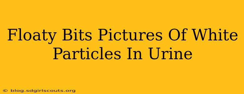 Floaty Bits Pictures Of White Particles In Urine