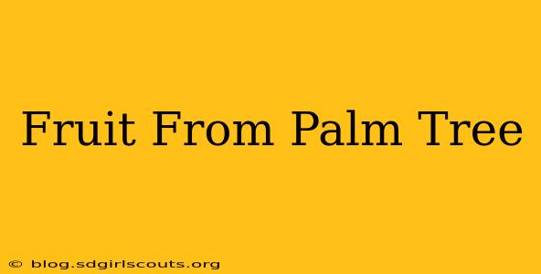 Fruit From Palm Tree