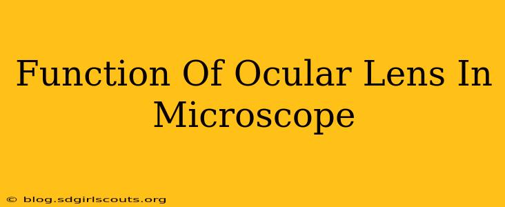 Function Of Ocular Lens In Microscope