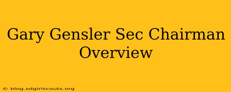 Gary Gensler Sec Chairman Overview
