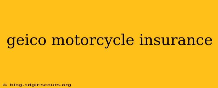 geico motorcycle insurance