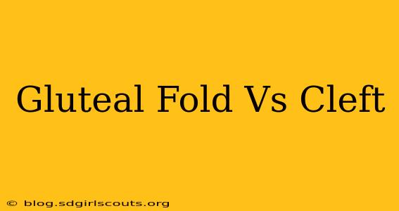 Gluteal Fold Vs Cleft