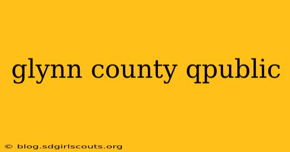 glynn county qpublic