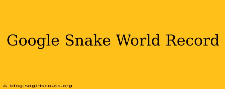 Google Snake World Record