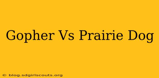 Gopher Vs Prairie Dog