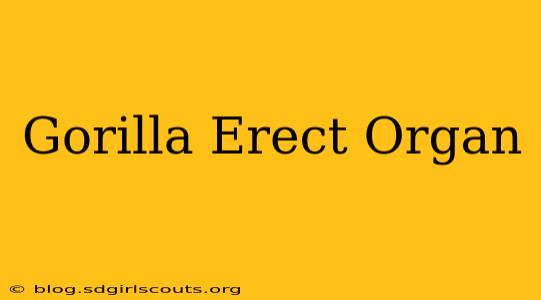 Gorilla Erect Organ