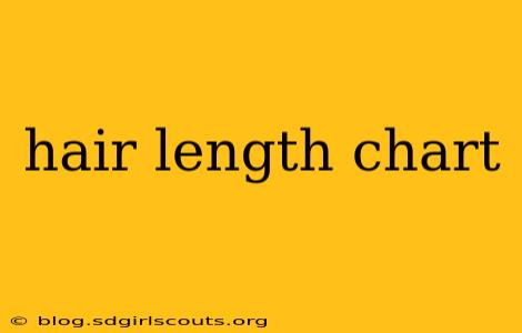 hair length chart
