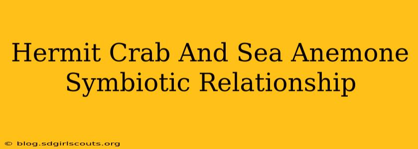 Hermit Crab And Sea Anemone Symbiotic Relationship