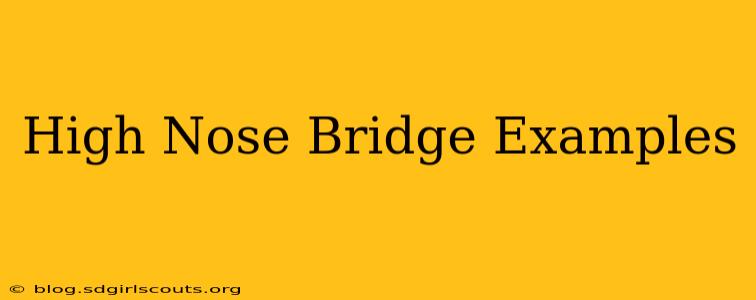 High Nose Bridge Examples