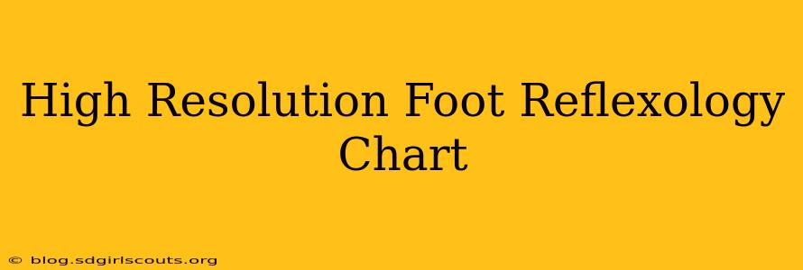 High Resolution Foot Reflexology Chart