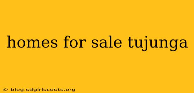 homes for sale tujunga