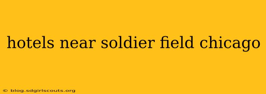 hotels near soldier field chicago