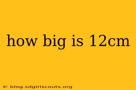 how big is 12cm