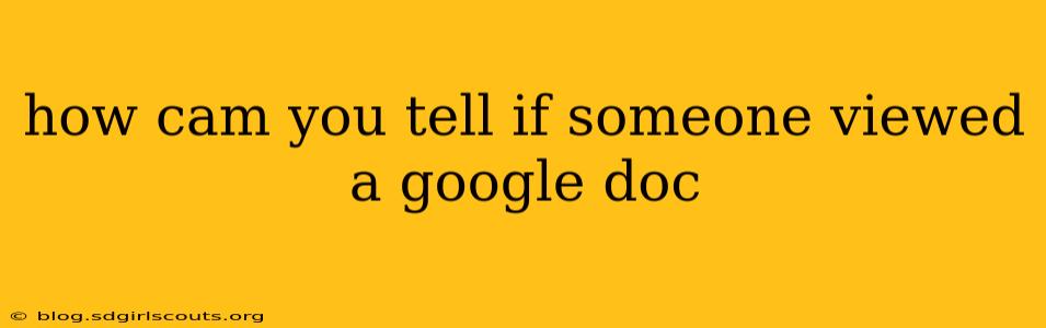 how cam you tell if someone viewed a google doc