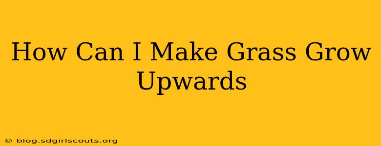 How Can I Make Grass Grow Upwards