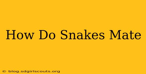 How Do Snakes Mate