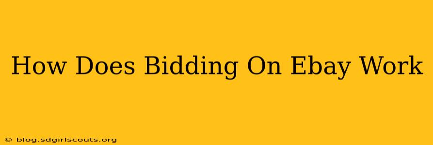 How Does Bidding On Ebay Work