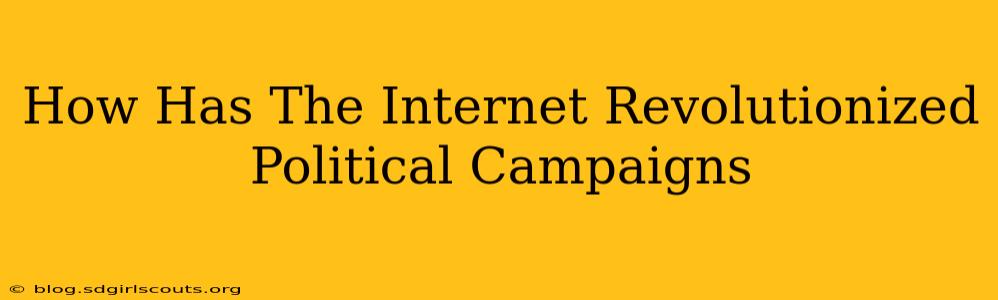 How Has The Internet Revolutionized Political Campaigns