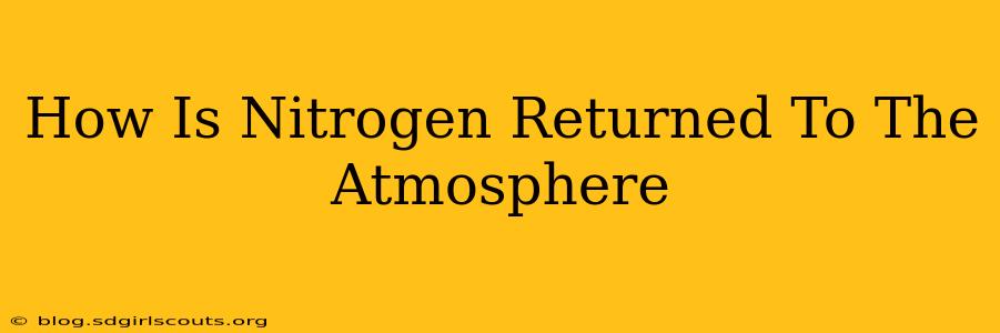 How Is Nitrogen Returned To The Atmosphere