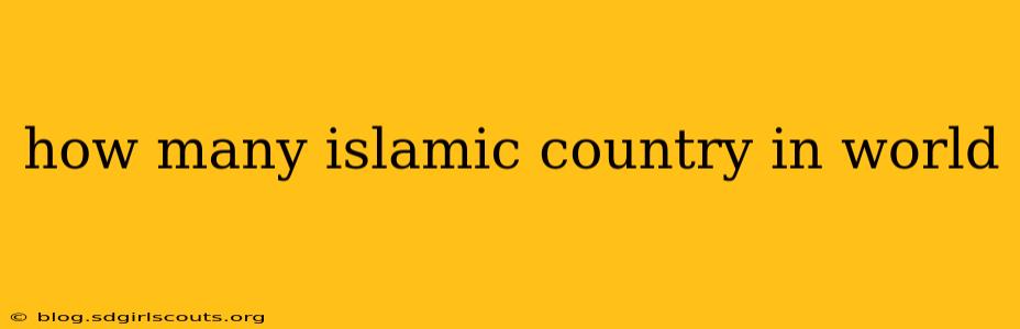 how many islamic country in world