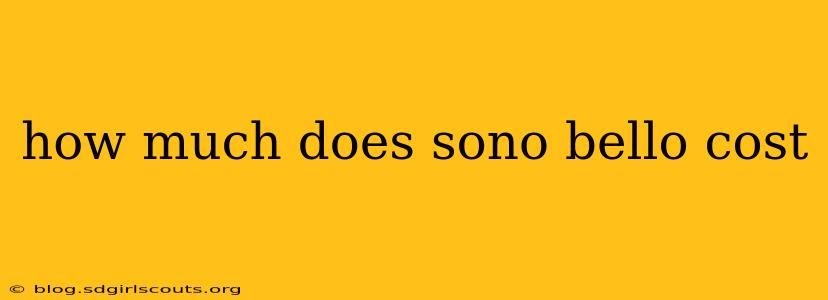 how much does sono bello cost