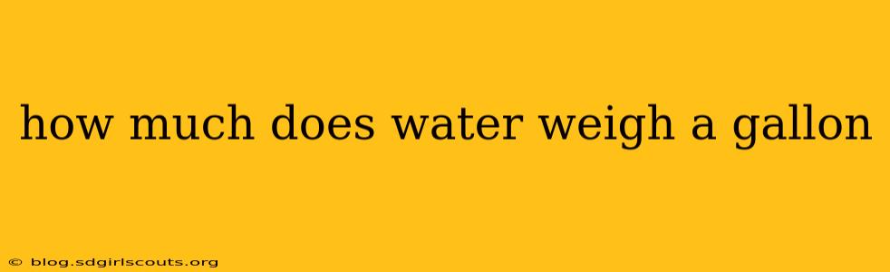 how much does water weigh a gallon