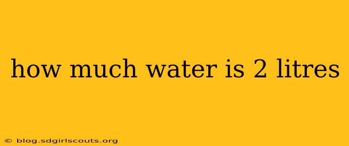how much water is 2 litres