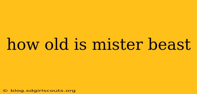 how old is mister beast