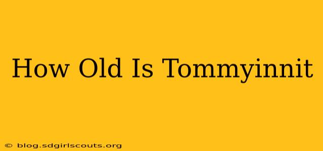 How Old Is Tommyinnit