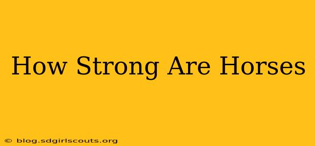 How Strong Are Horses