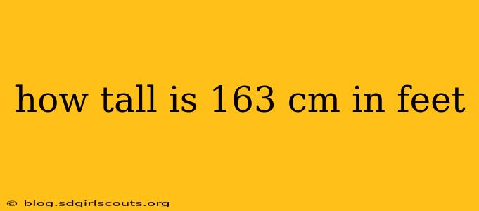 how tall is 163 cm in feet