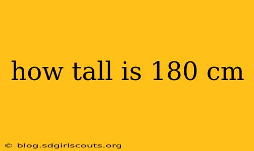 how tall is 180 cm