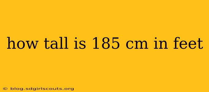how tall is 185 cm in feet