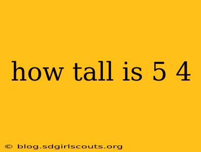 how tall is 5 4