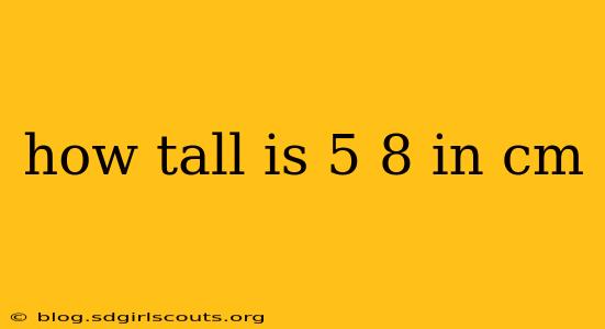 how tall is 5 8 in cm
