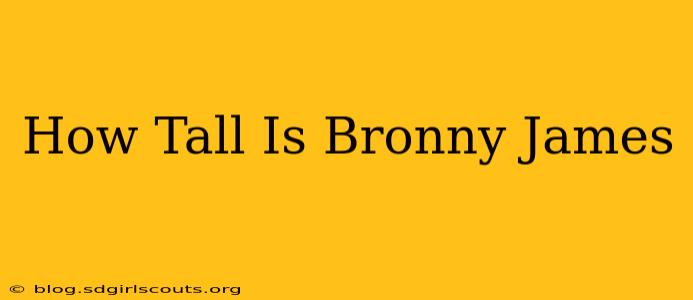How Tall Is Bronny James