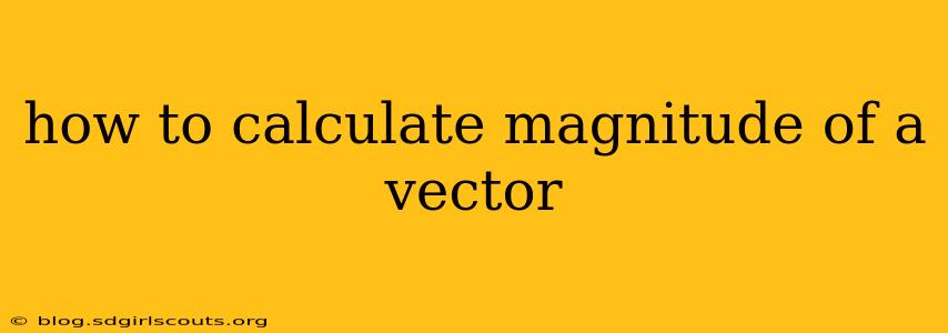 how to calculate magnitude of a vector