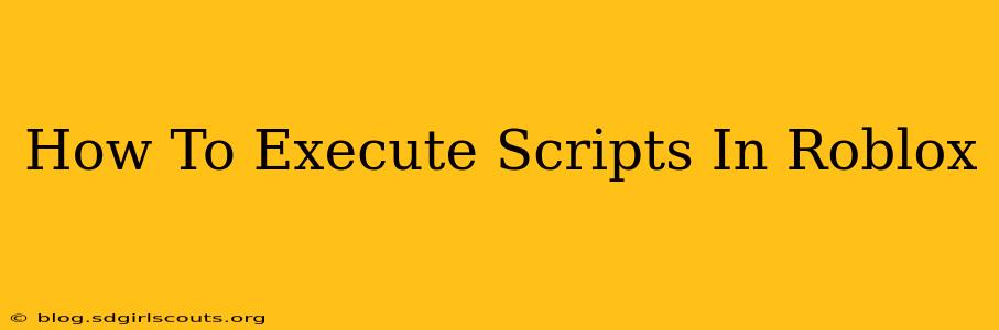 How To Execute Scripts In Roblox