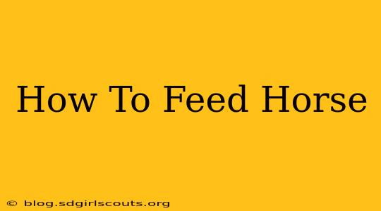 How To Feed Horse