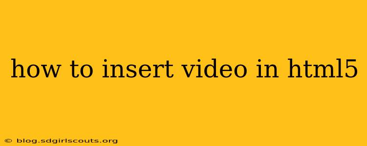 how to insert video in html5