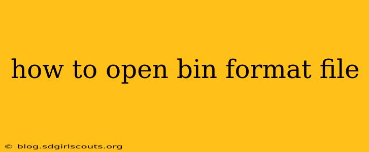 how to open bin format file