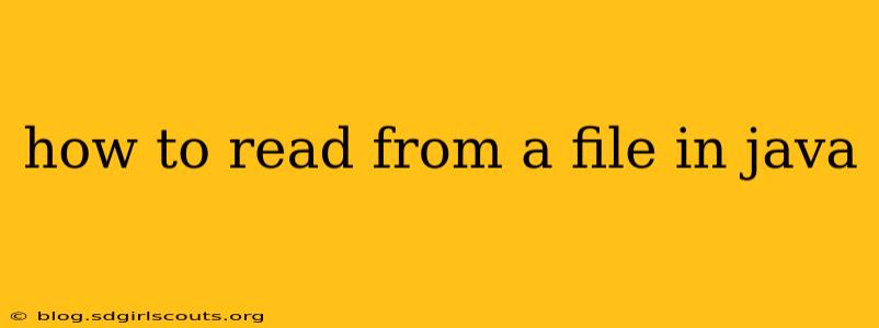 how to read from a file in java