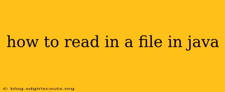 how to read in a file in java