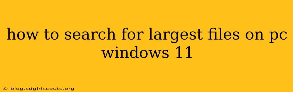 how to search for largest files on pc windows 11