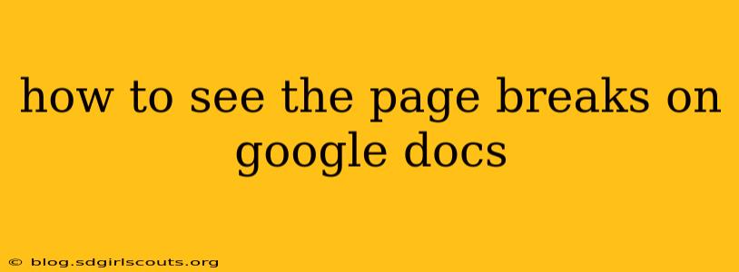 how to see the page breaks on google docs