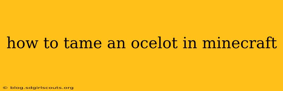 how to tame an ocelot in minecraft