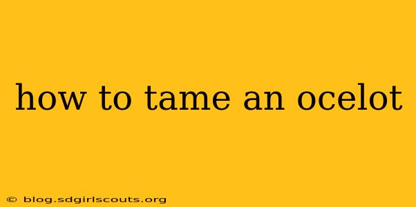 how to tame an ocelot